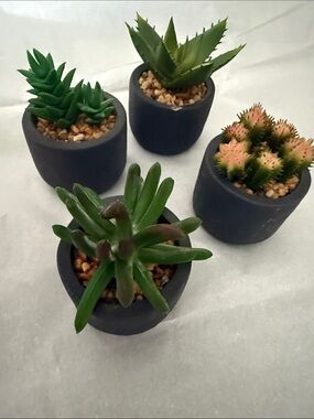 Green Faux Succulent Set in Charcoal Pots - Home Accents